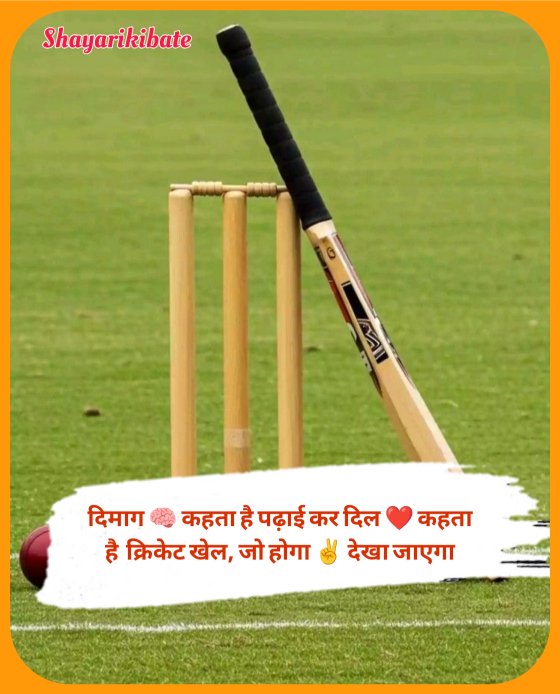 Cricket Shayari In Hindi